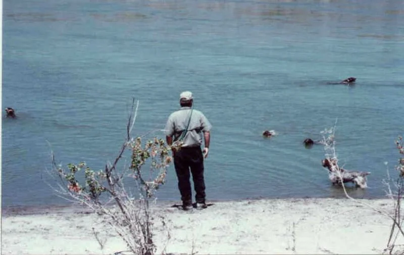 snakeriver.jpg