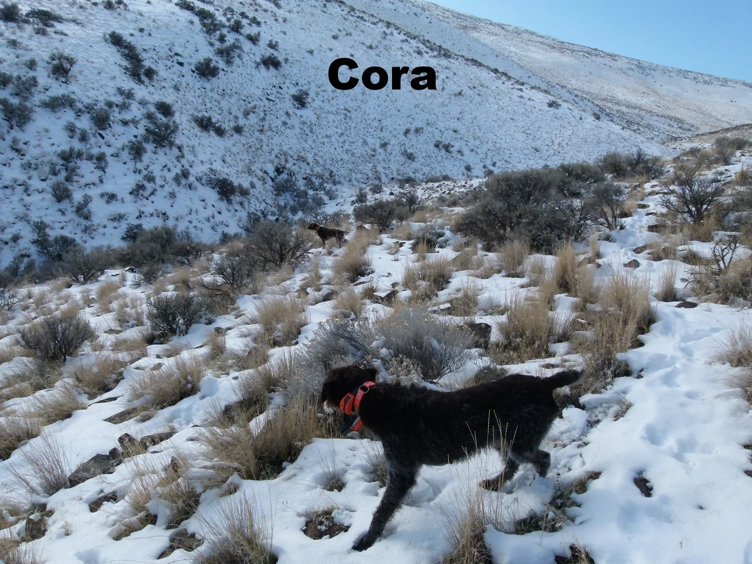 2012 Huntings 148.JPG