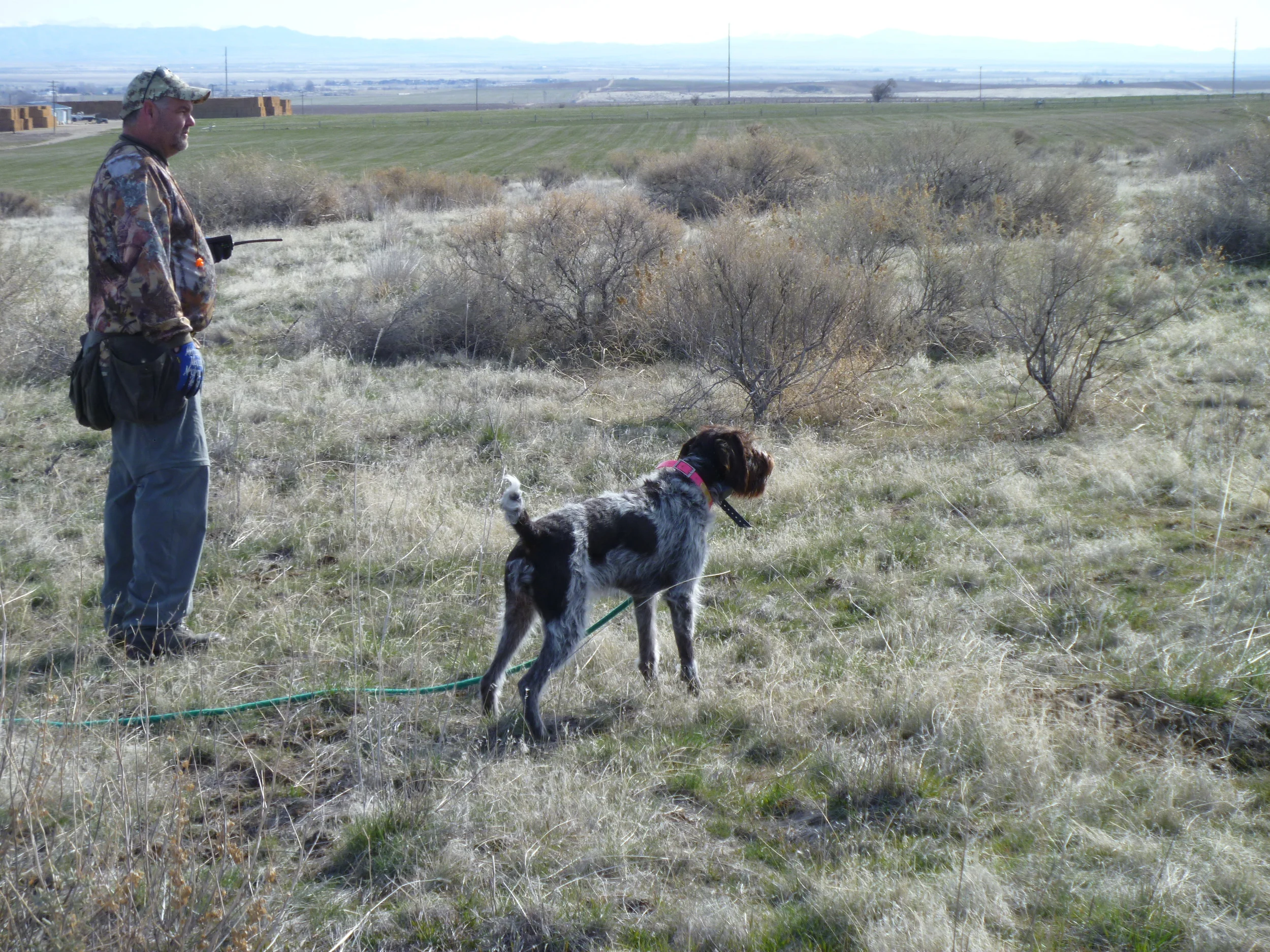 Training Pics 012.JPG