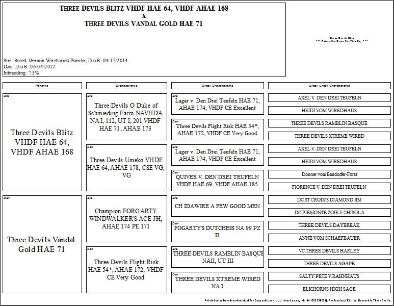 Val x Blitz Boren.jpg