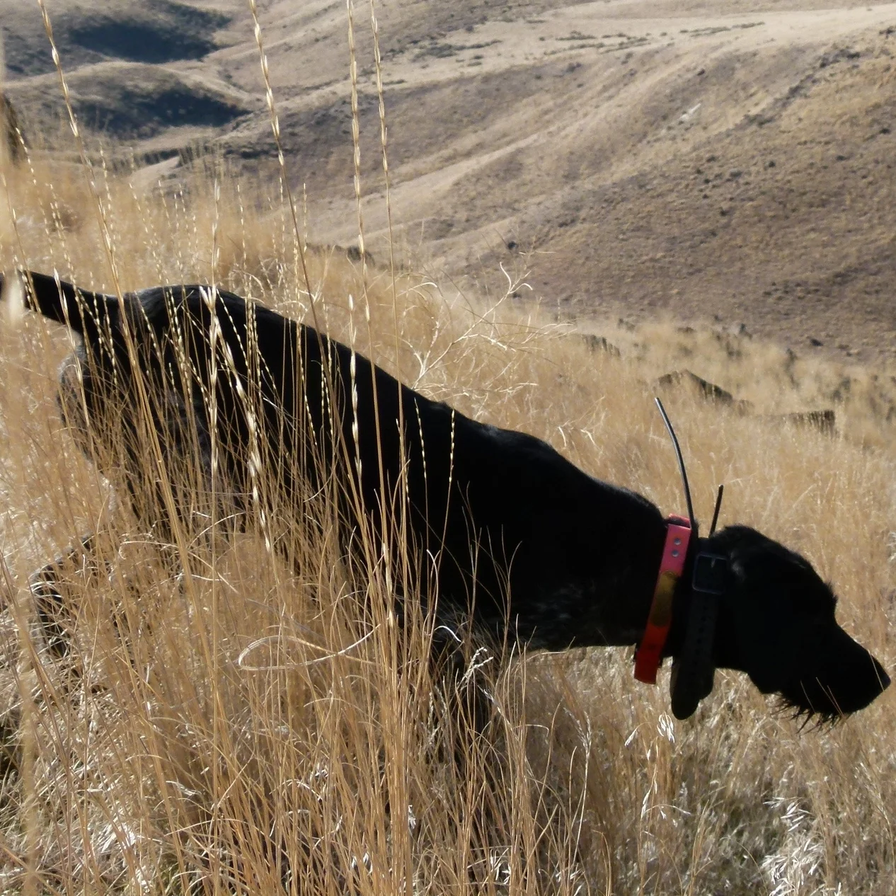 2011 Hunting Photos 015 (2).JPG