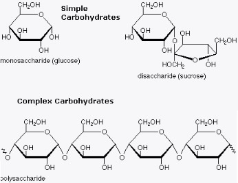 DIAGRAM FROM http://haniazwan.weebly.com/carbohydrate