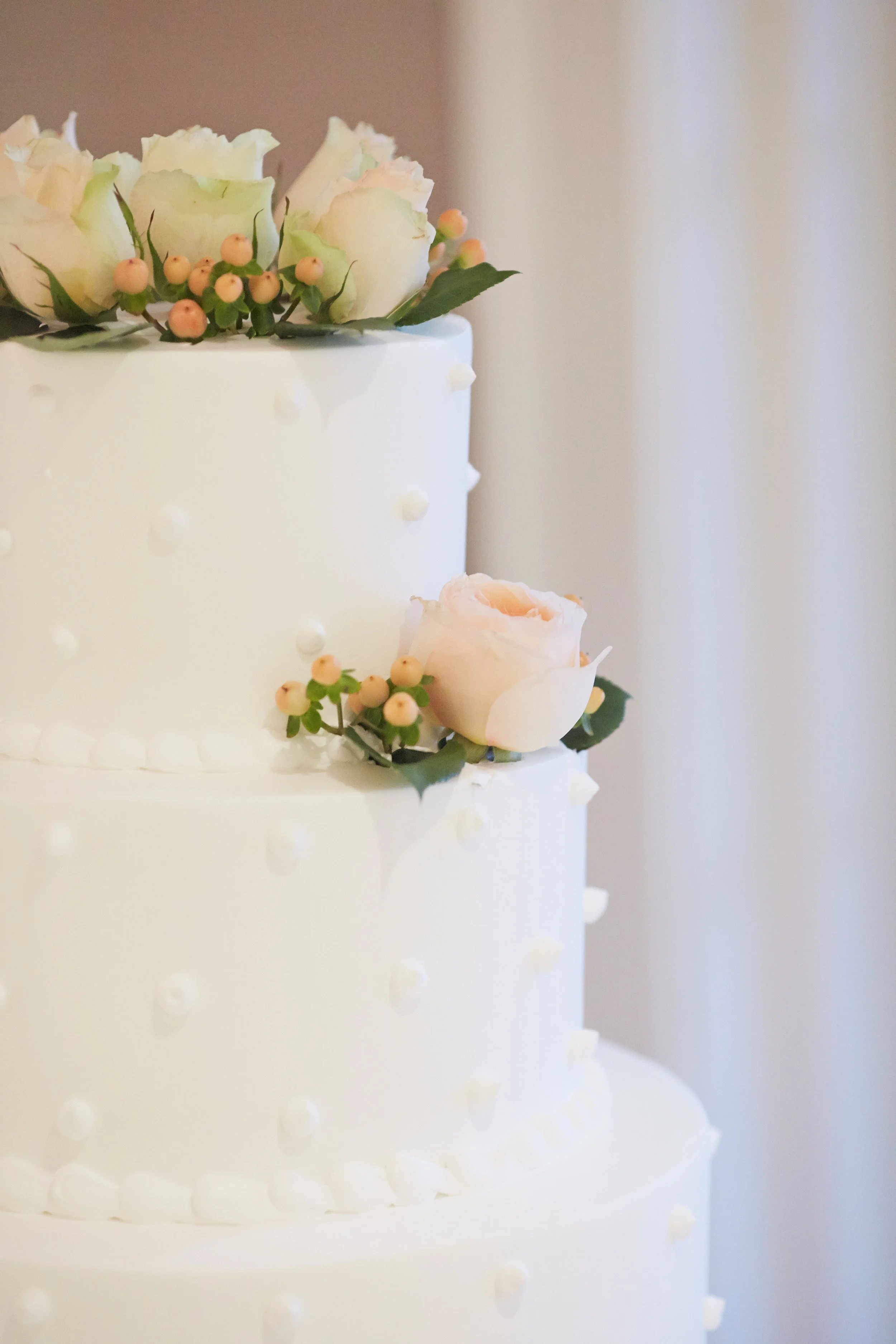 Anika_&_Reed_Wedding_2016_5478.jpg