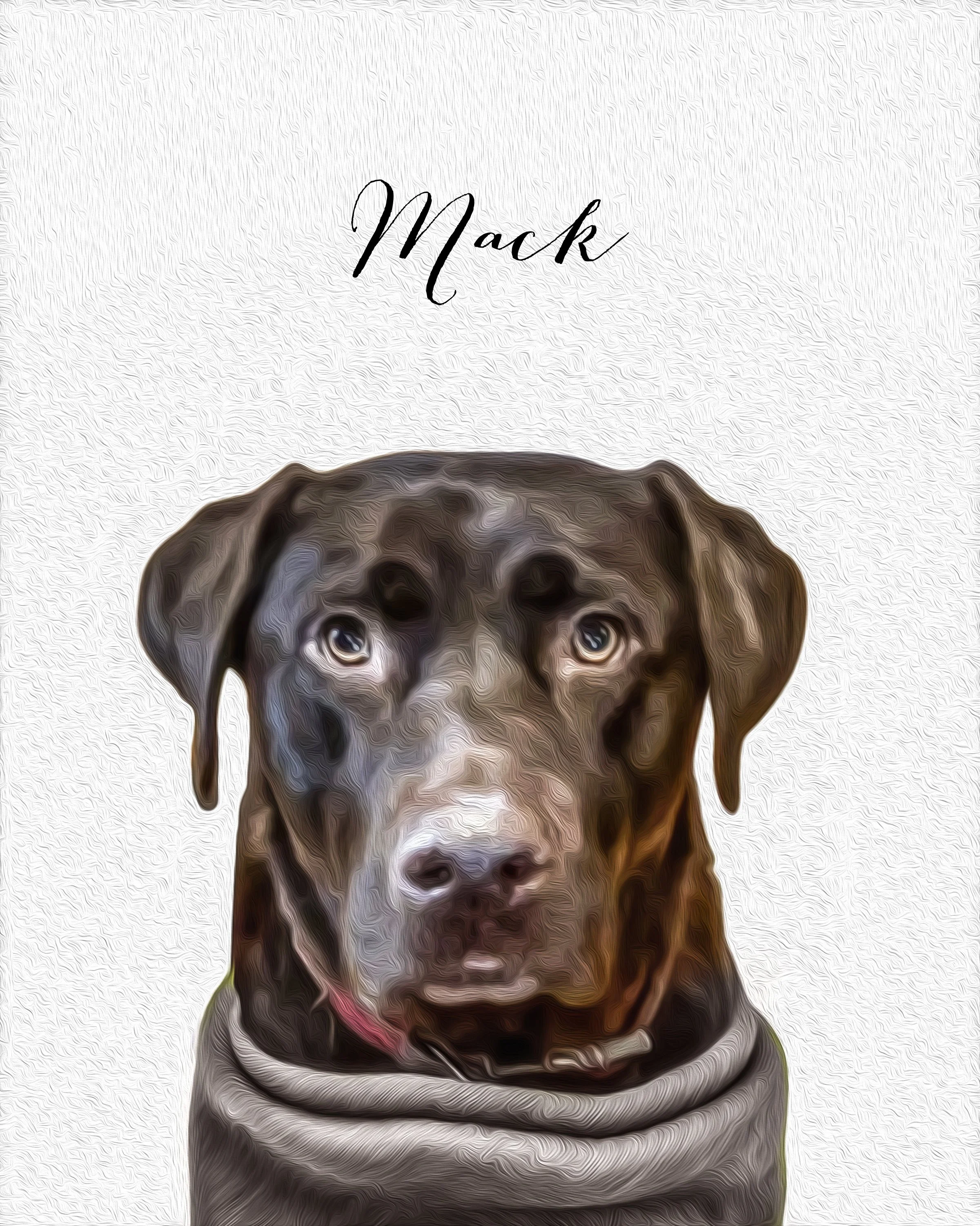 Rescue Pet Portrait Project- Portraits for A Cause — Jennifer Mount ...