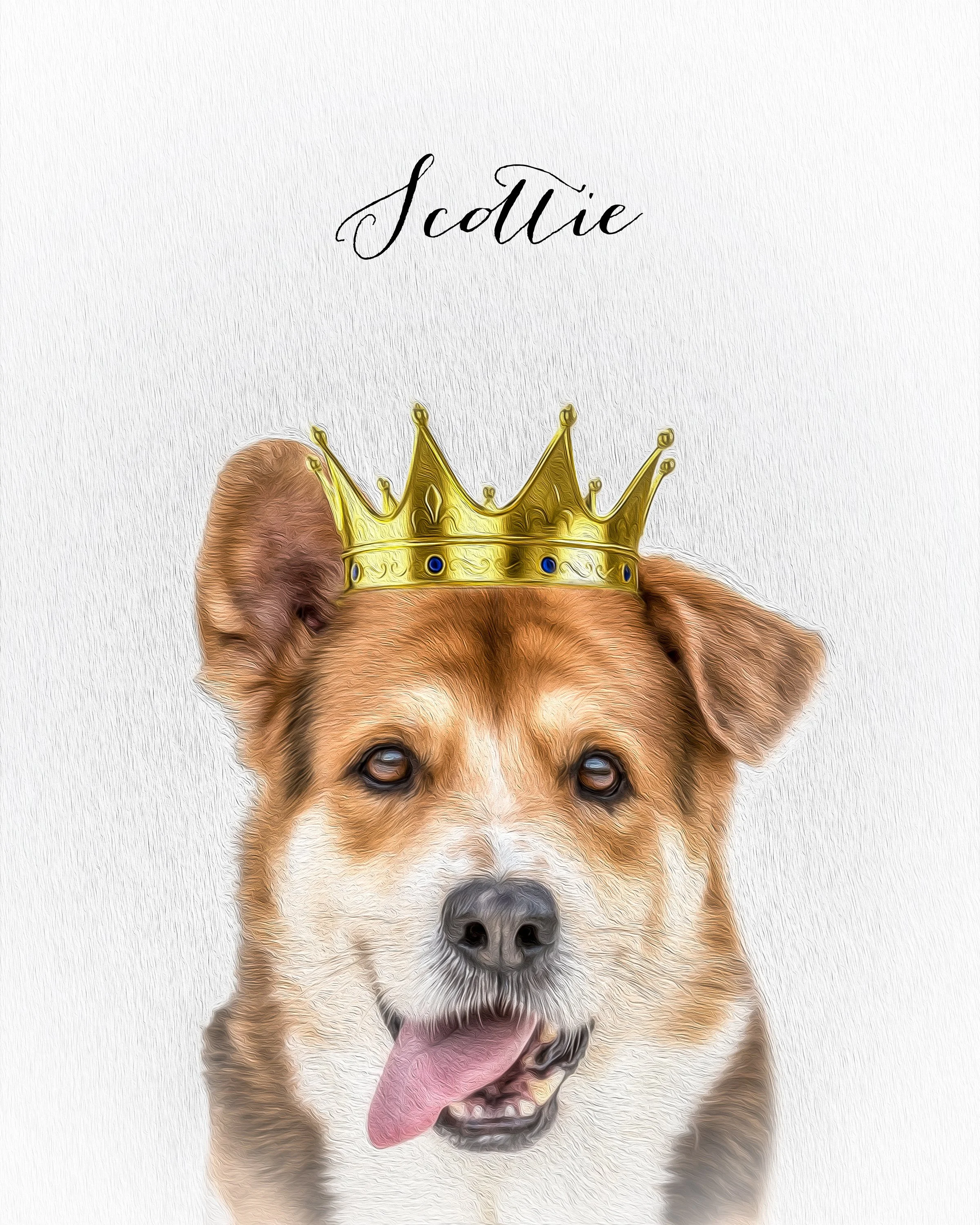 Rescue Pet Portrait Project- Portraits for A Cause — Jennifer Mount ...