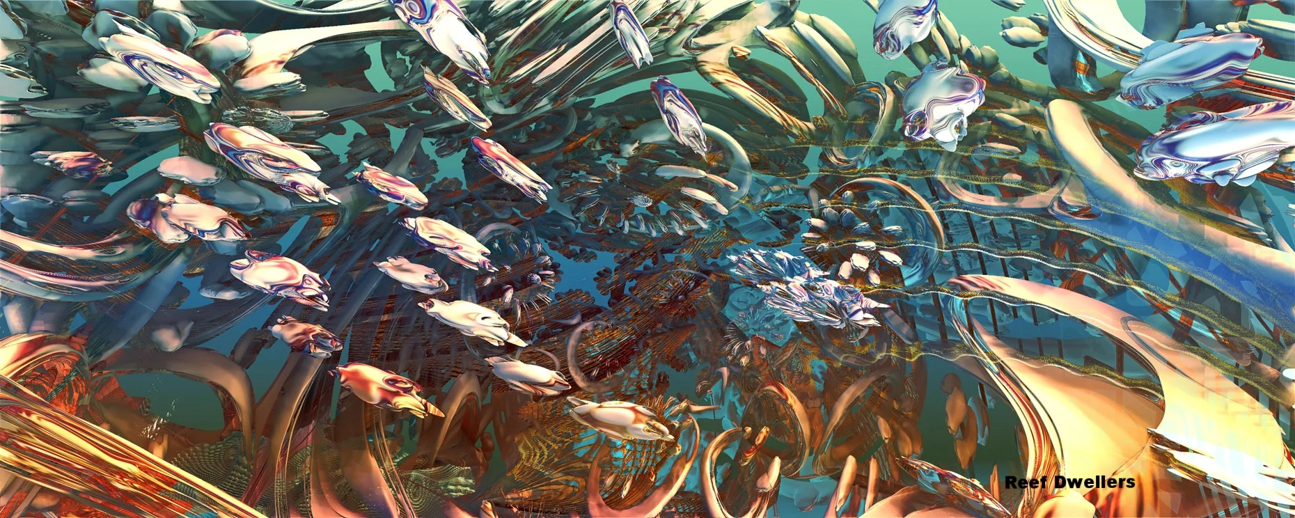 Reef Dwellers