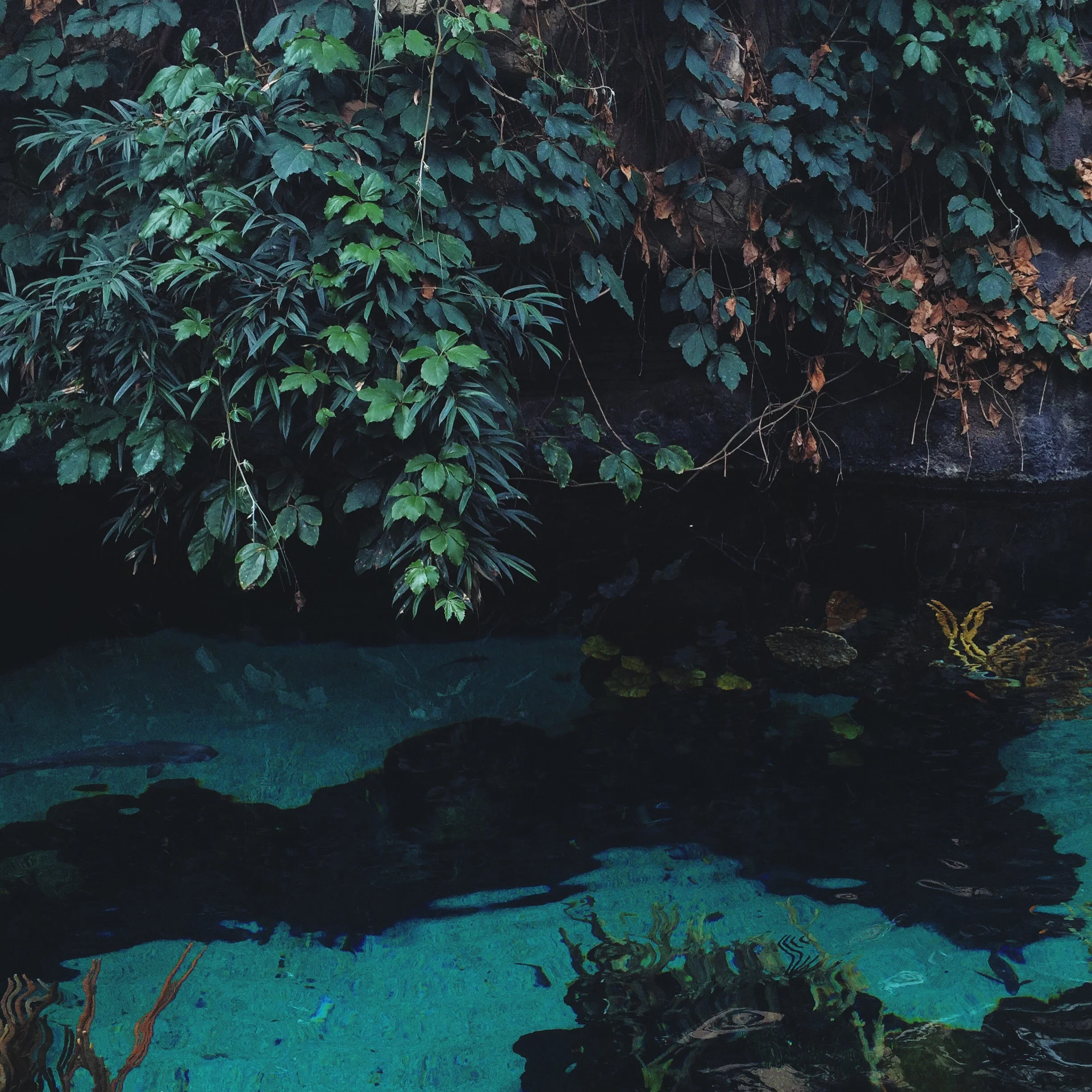 wata.JPG