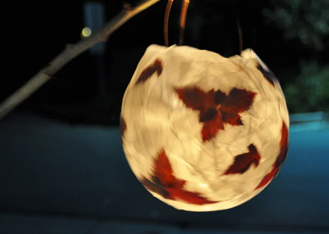 leaflantern.jpg