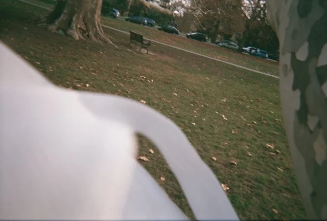 9A_0011.jpg