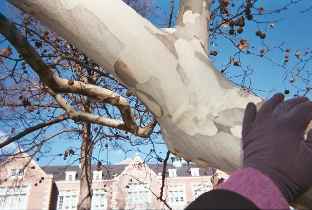 21A_0022.jpg