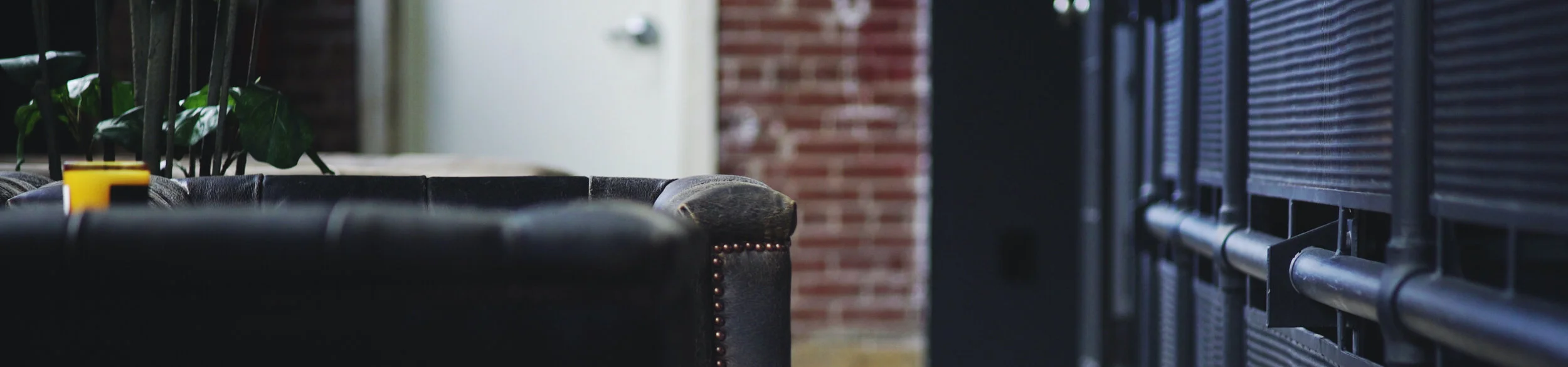 MG Texture 8_banner.jpeg