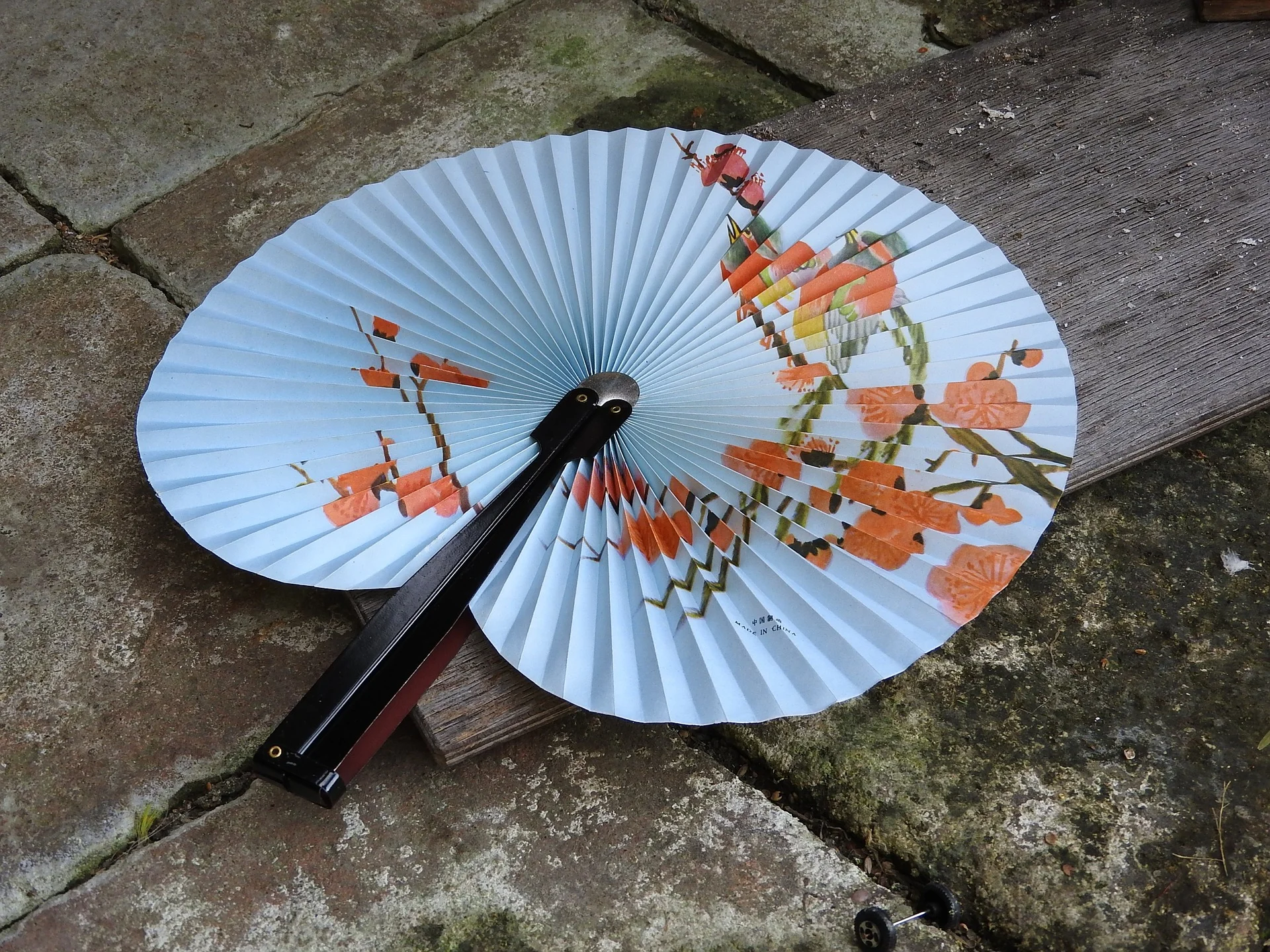 fan-876378_1920.jpg