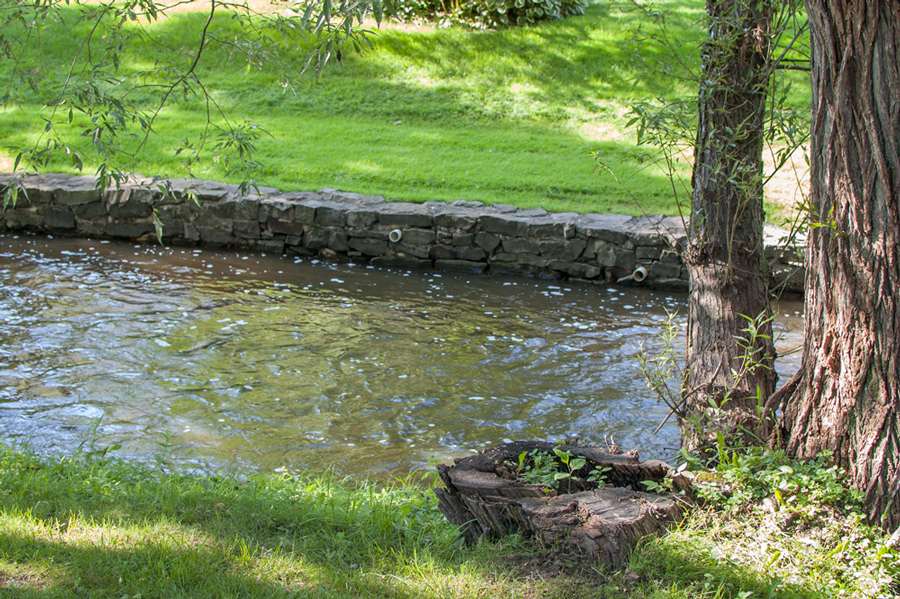 Allen's Creek