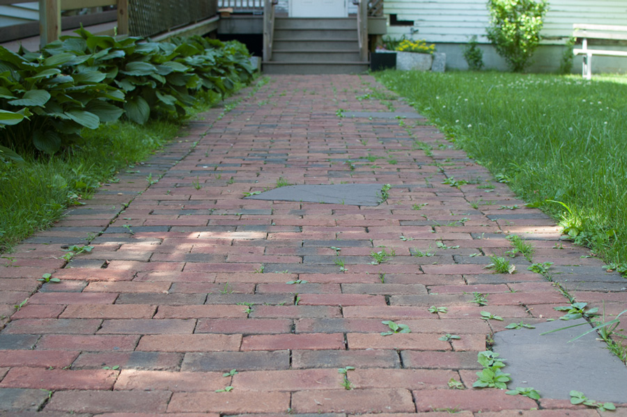 MUCCC walkway