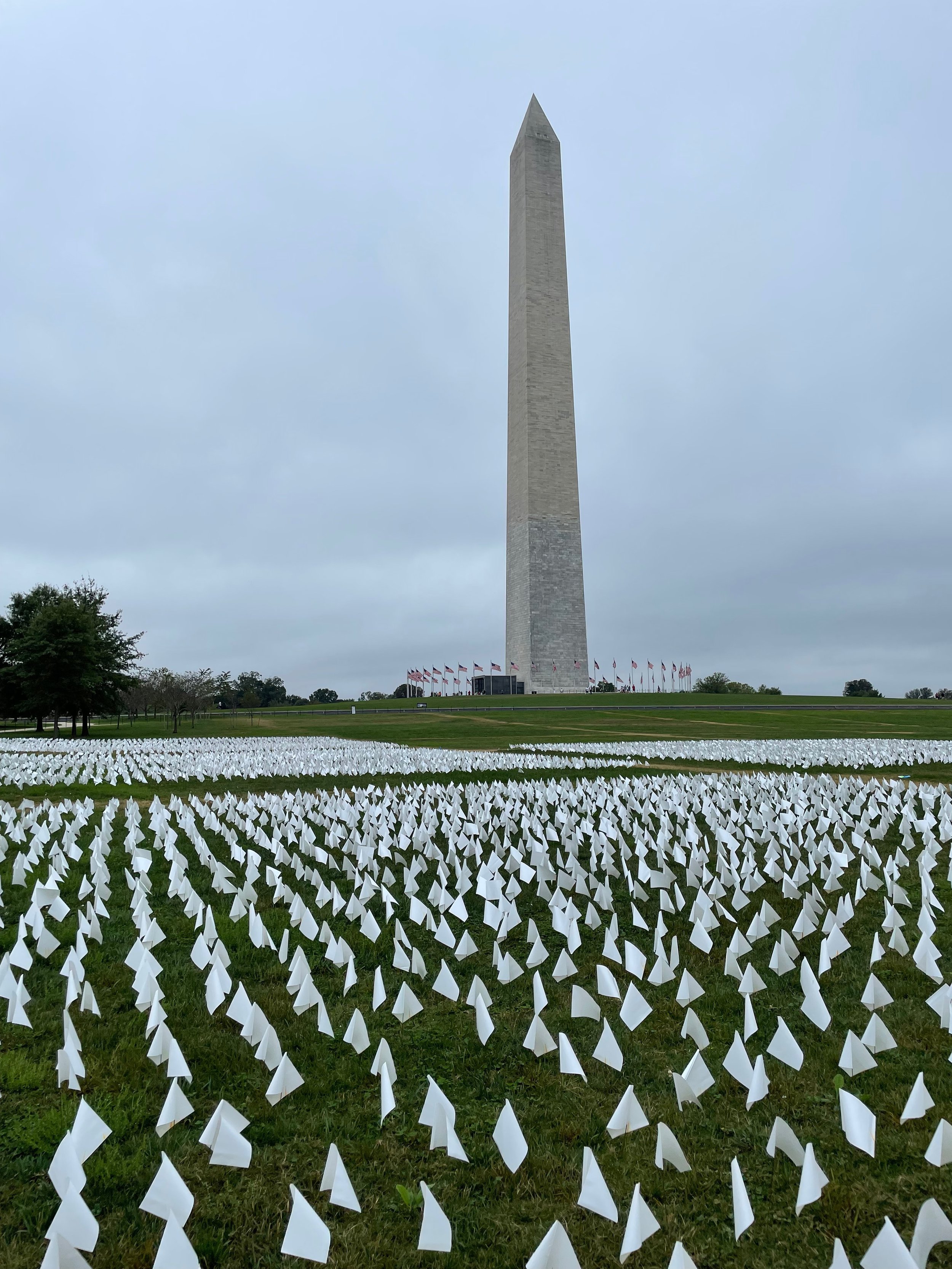 Washington Monument, Covid-19 Memorial Installation, D.C., 2021.