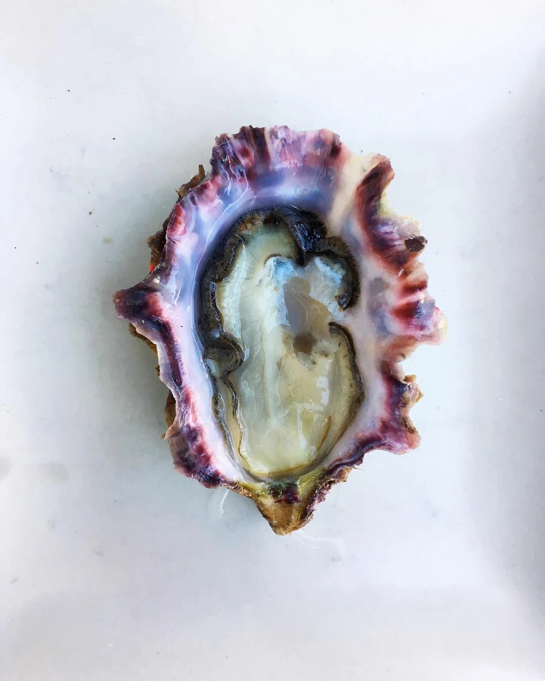 Image: @hogislandoysterco on Instagram