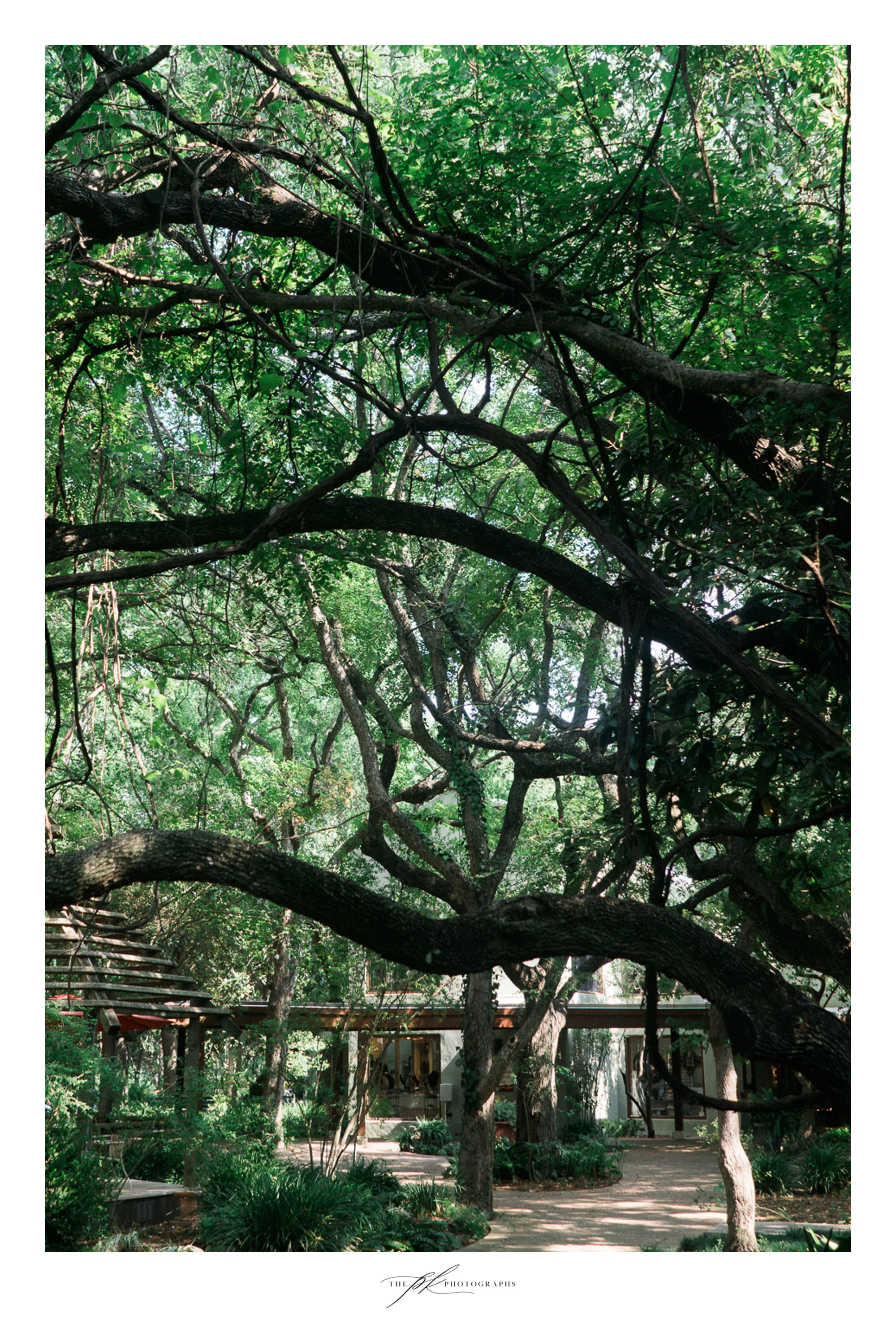 Los Patios Wedding | San Antonio Wedding Photographer