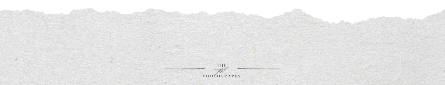 personal blog footer.png
