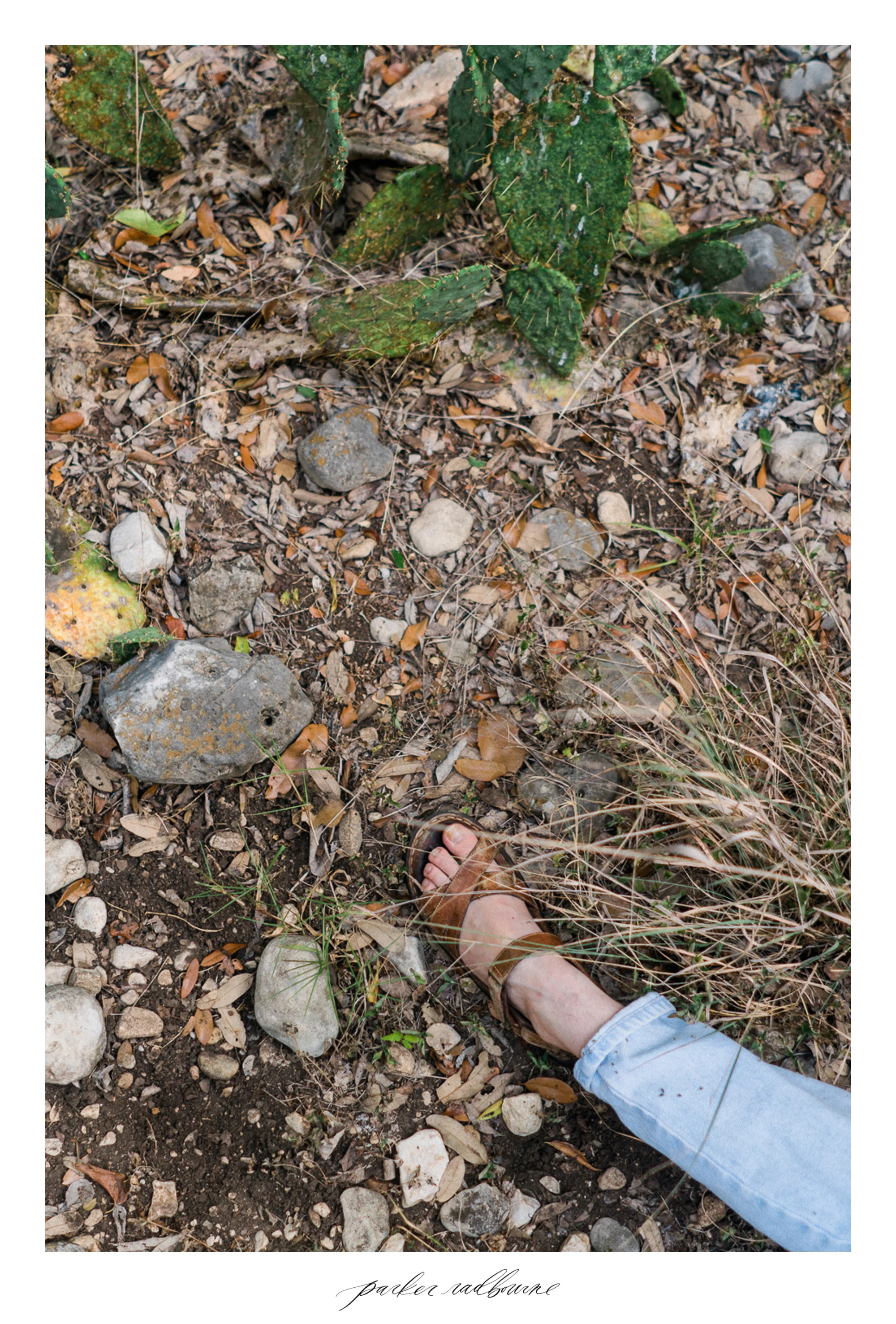 walker-ranch-park-photo-walk-san-antonio-6.jpg