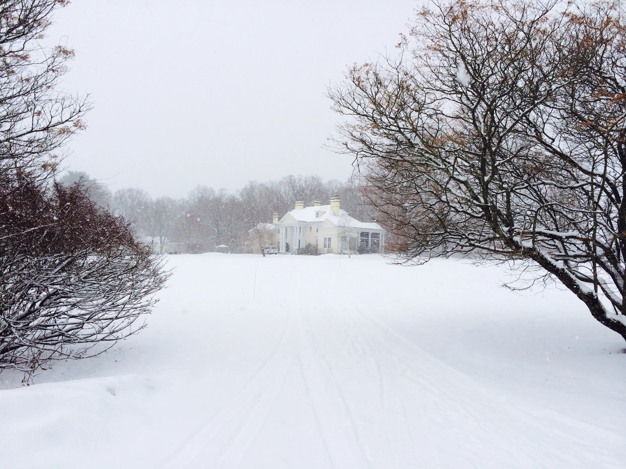 Vivekenanda in the snow copy.JPG