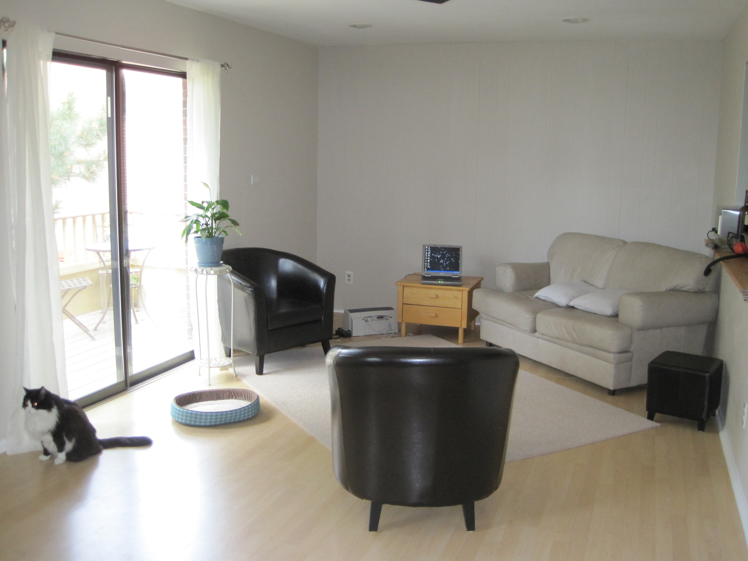 Living Room Before