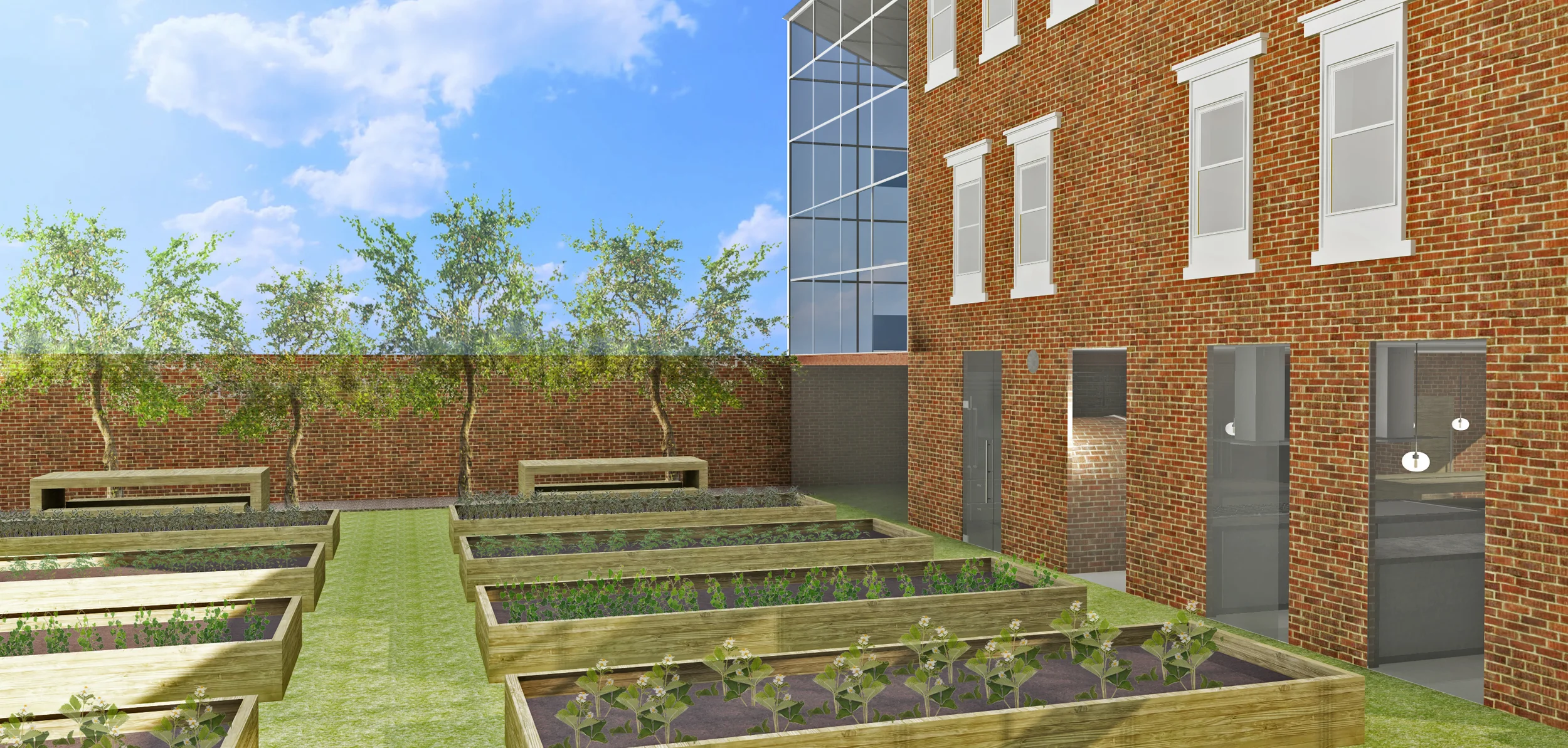 backyard.edited.rendered.1.jpg