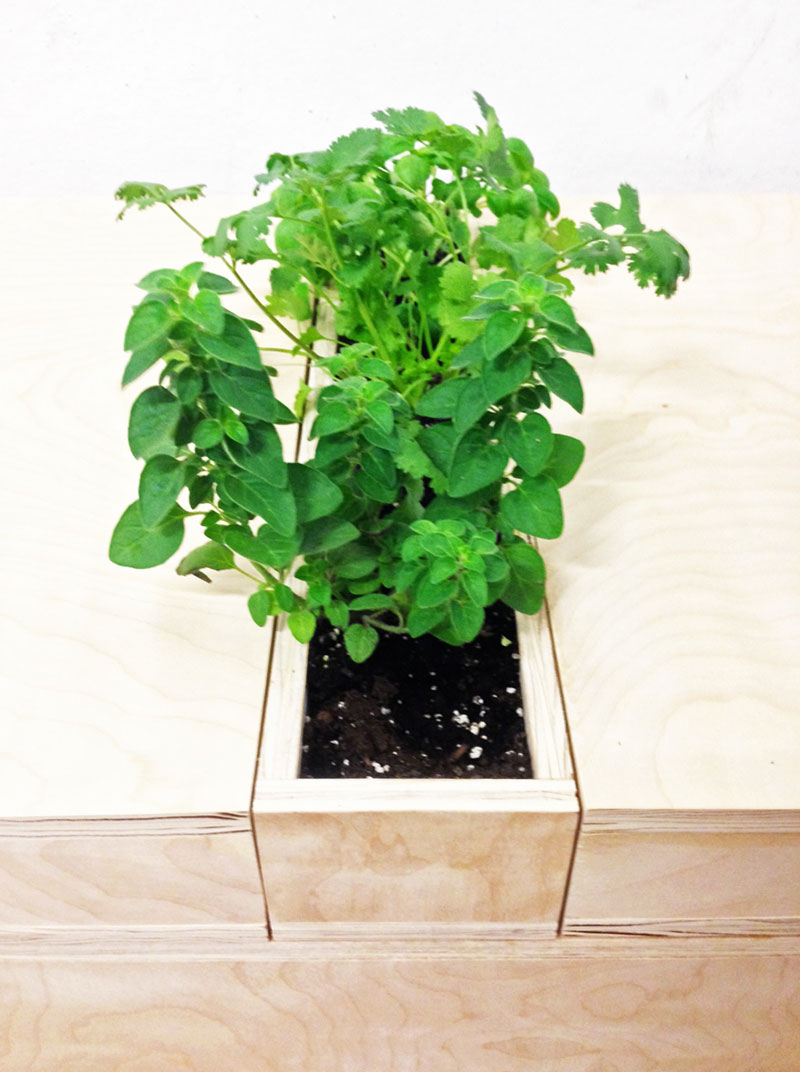 Kuhn.Fruition.UrbanFarmTable.Photo4.ParsonsMFAID.jpg