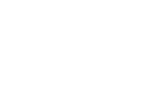 NetJets