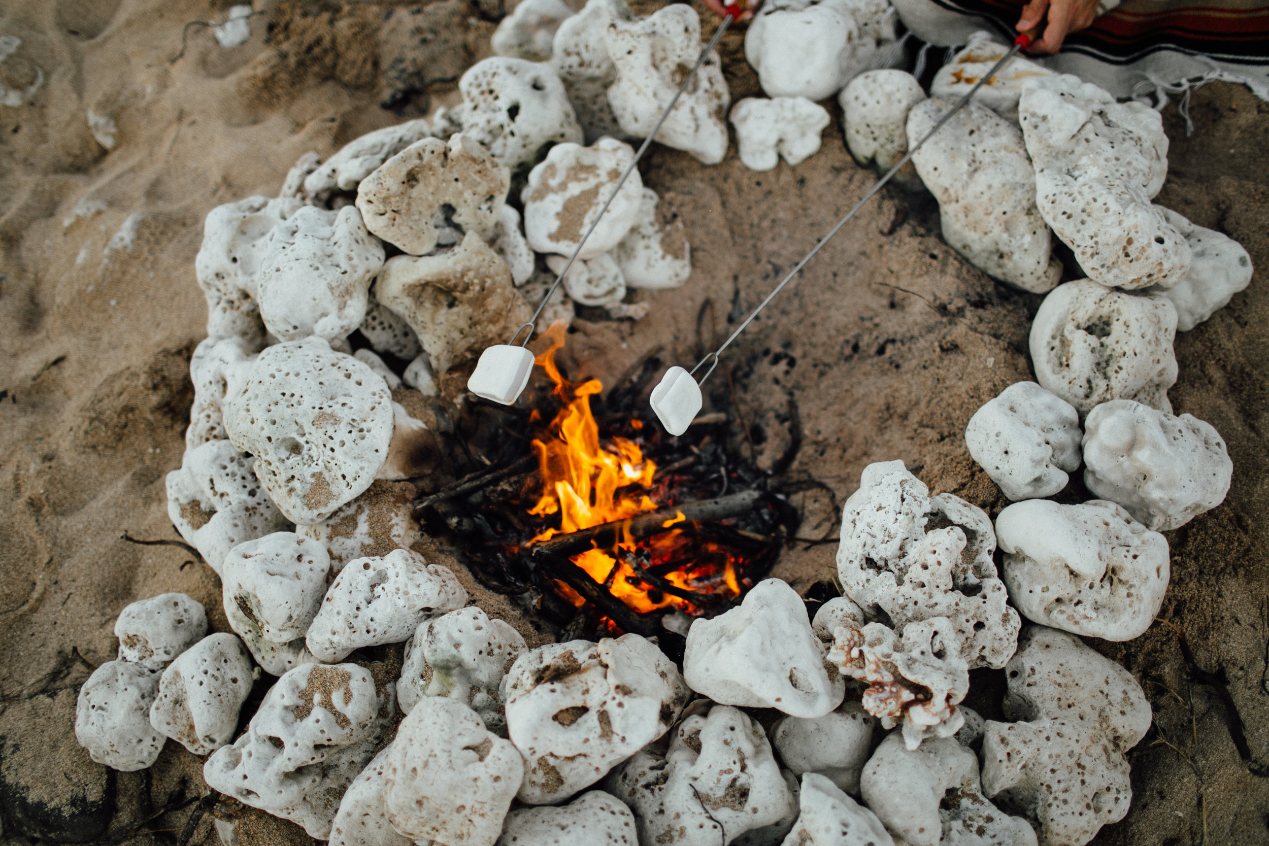 The marshmallows they bought were s'mores flavor! I didn't know there was such a thing! They looked so yummy!