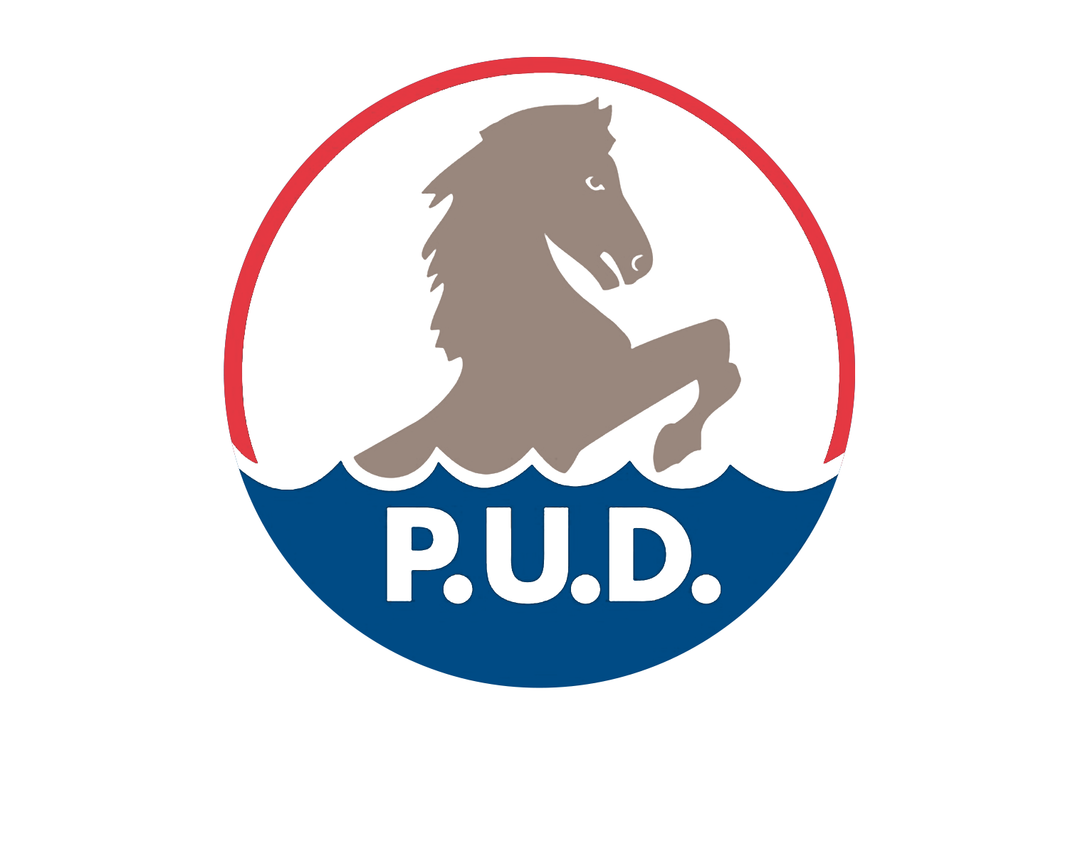 Chelan-County-PUD_Logo.png