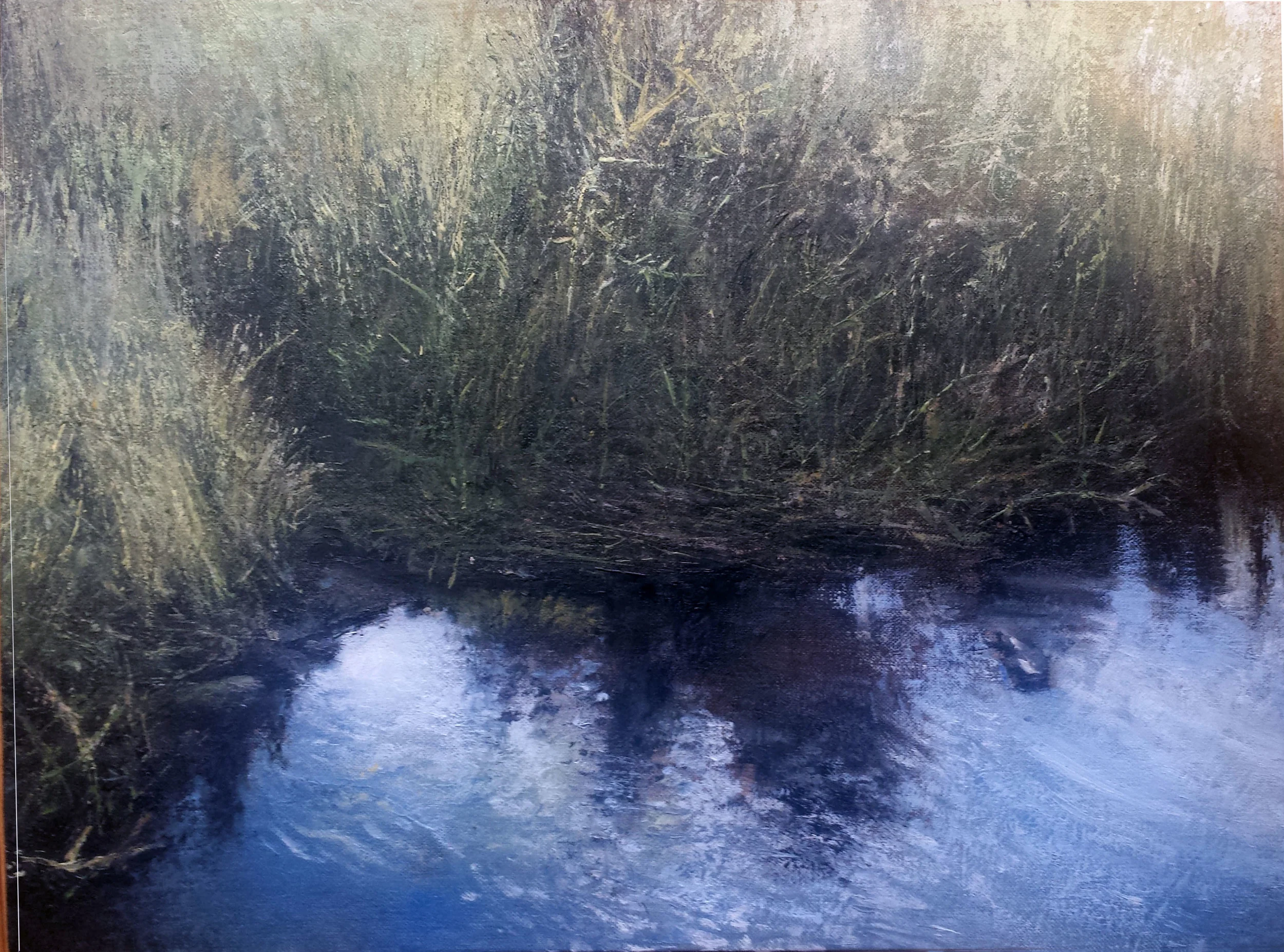 Marsh at La Pavona, Costa Rica