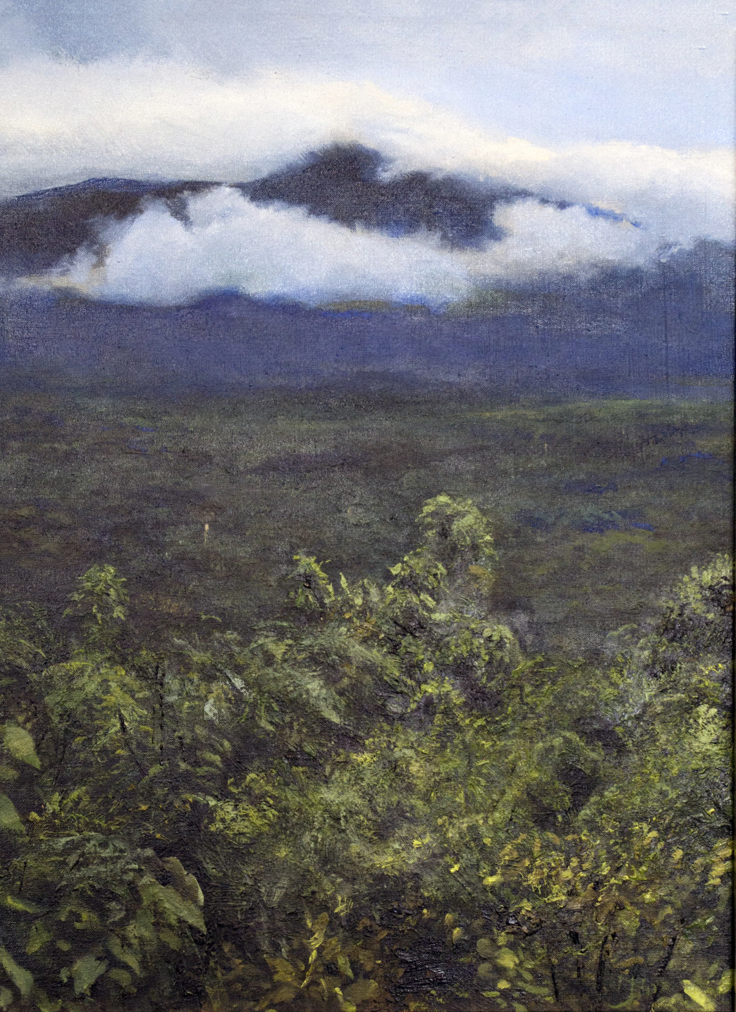 Rincon de la Vieja: Las Pailas Power Plant