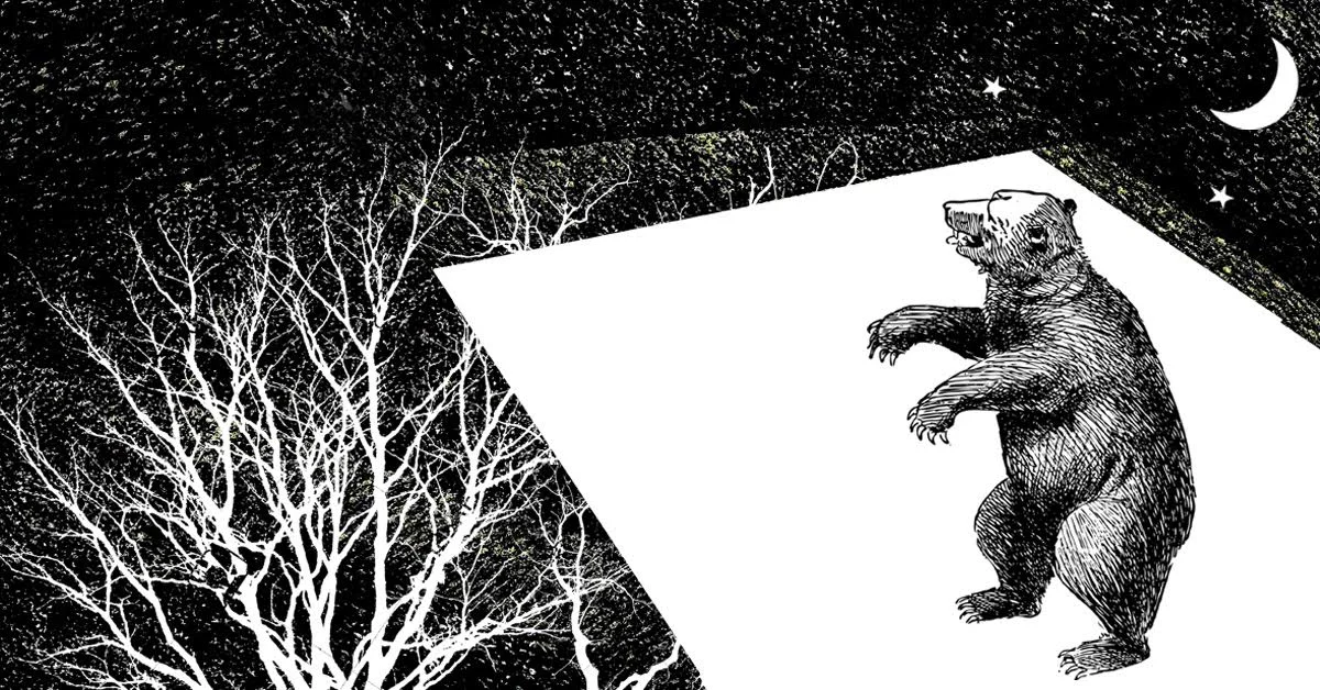 Bon Iver Fights A Bear banner.jpg