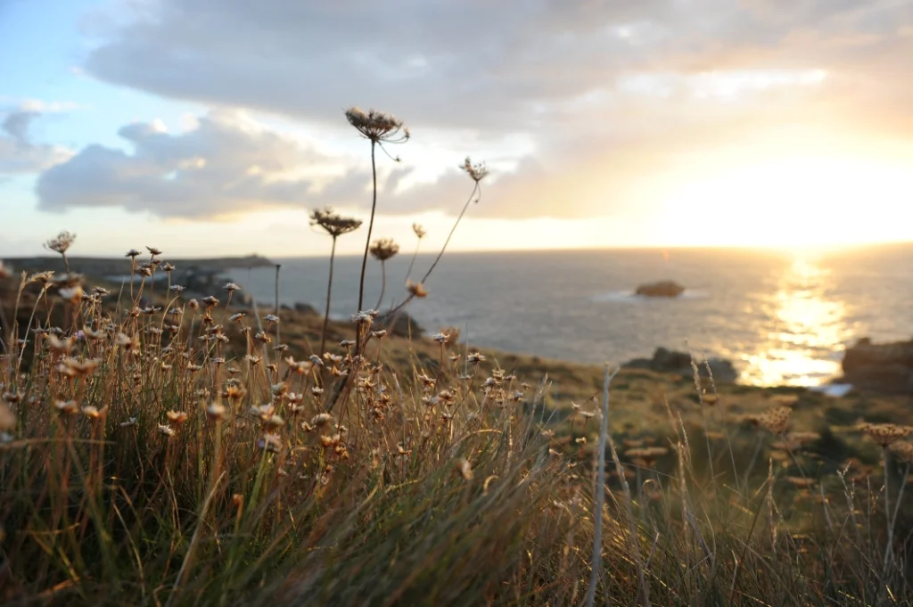 Goodbye and good luck, Frans & Alexandra