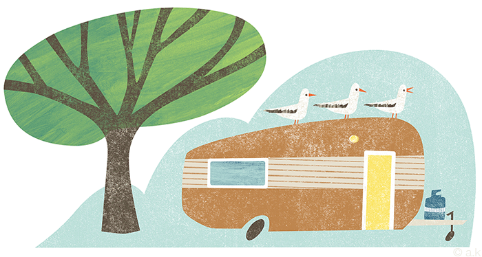Illustration created for  El Rancho  camp in Waikanae New Zealand.