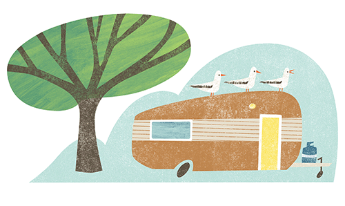 AK_ElRancho_CaravanSeagulls.png