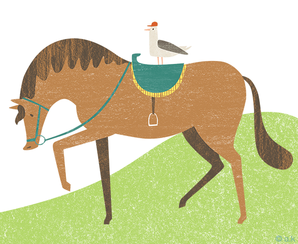 AK_ElRancho_HorseRiding_web.png