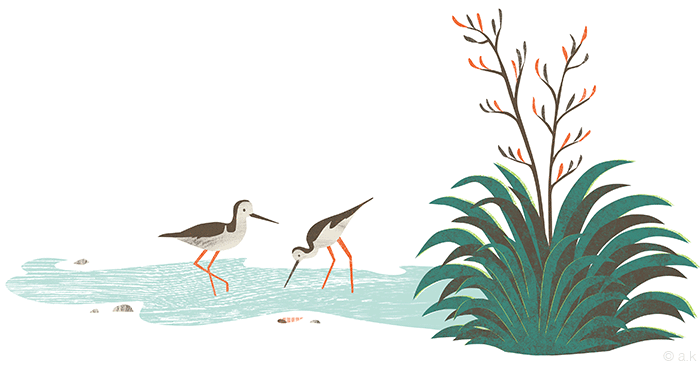 AK_Elrancho_WetlandPiedStilt.png