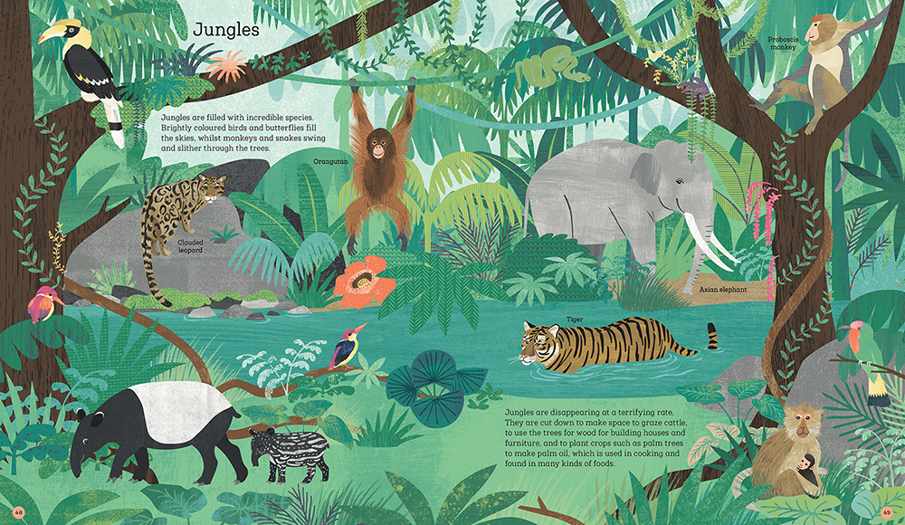 NosyCrow_HowToHelpAHedgehog_Jungle.png