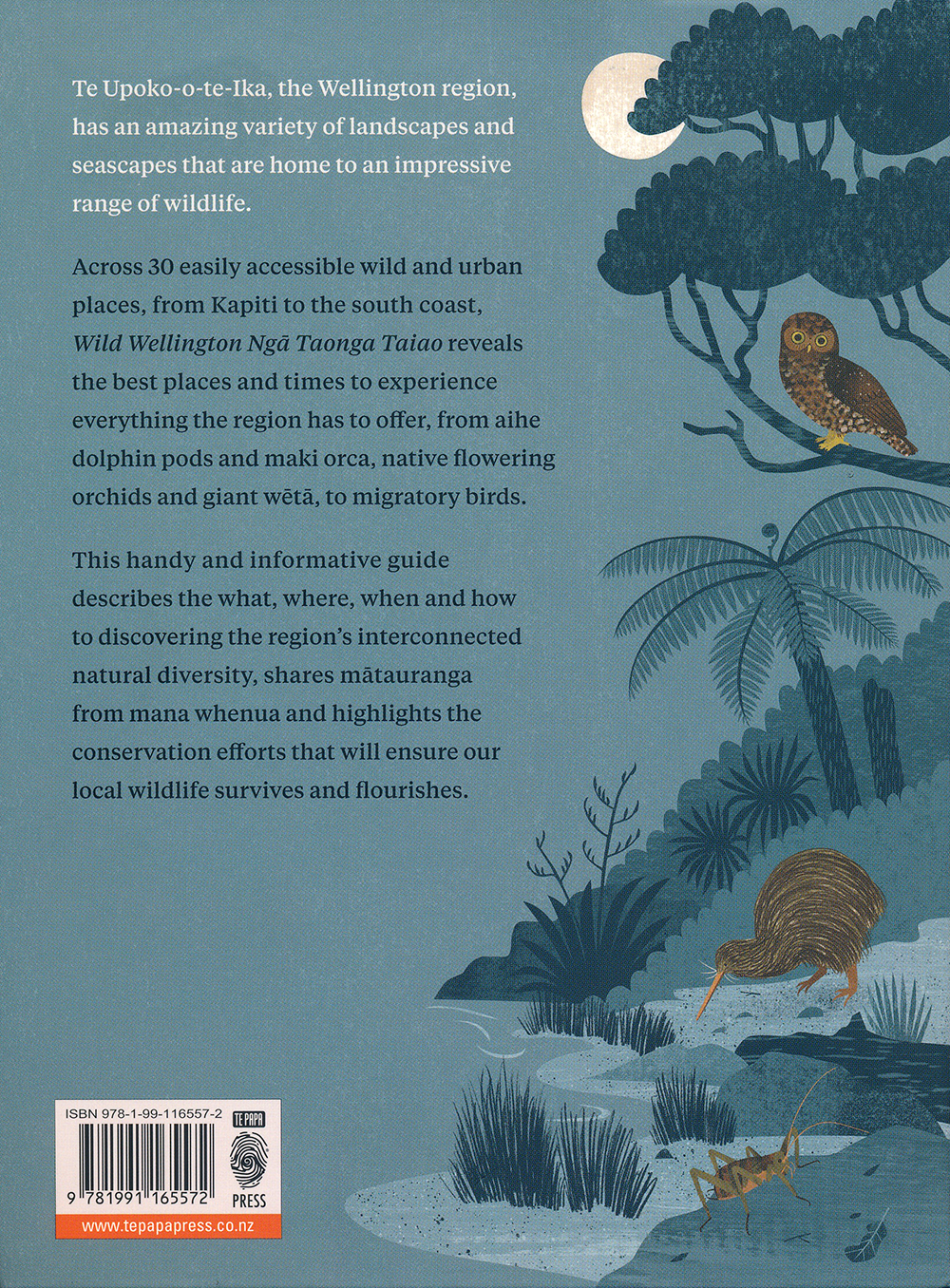 WildWellington_BackCoverArt_TePapaPress2024_IllustrationByAngelaKeoghan.png