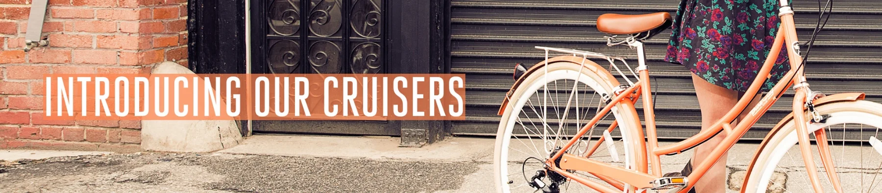 Introducing Our Cruisers