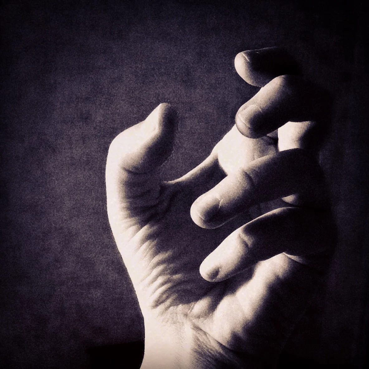 Hand Study – Raleigh, NC