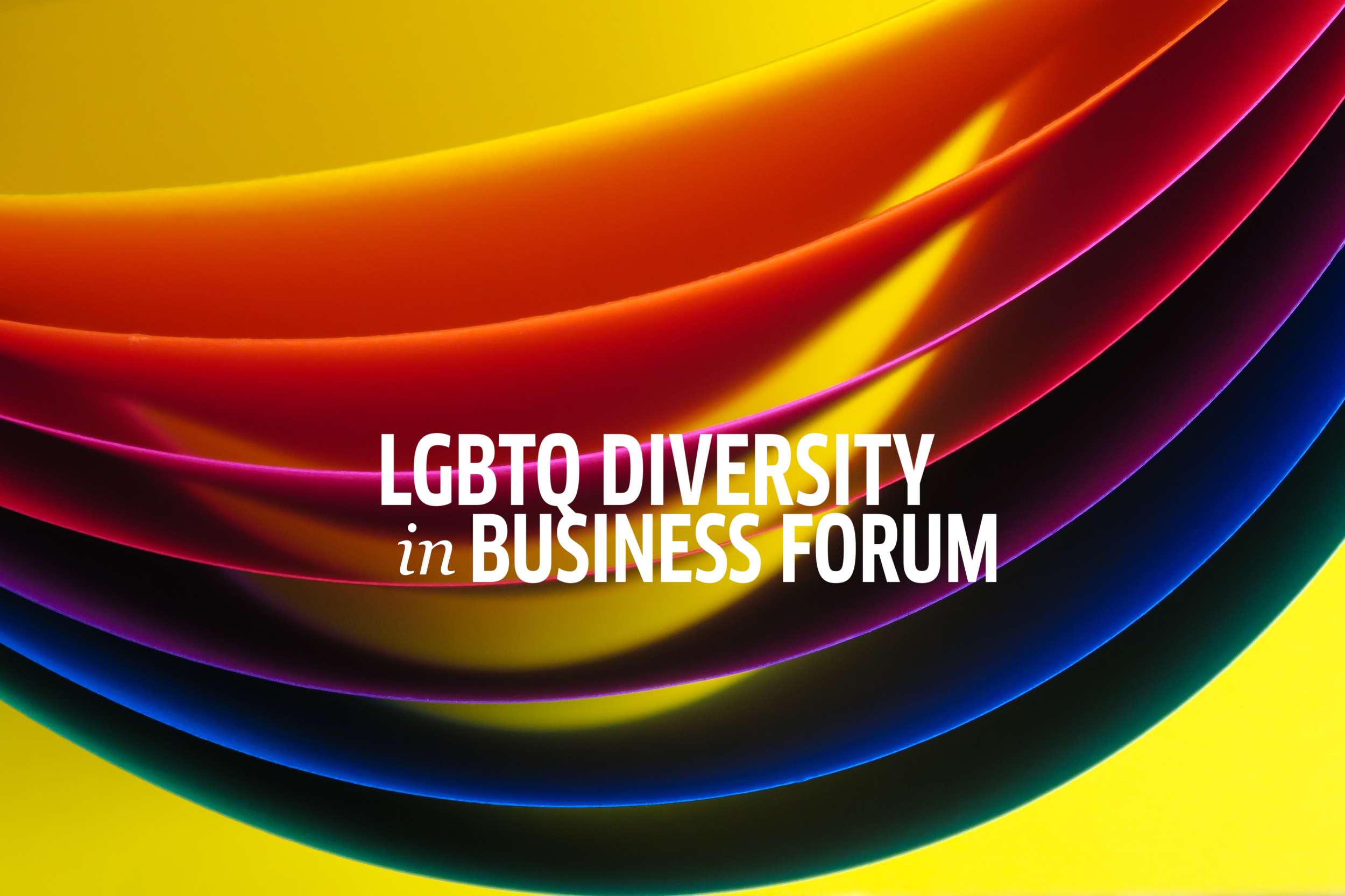 LGBTQ DIB Forum website banner 2 copy.png