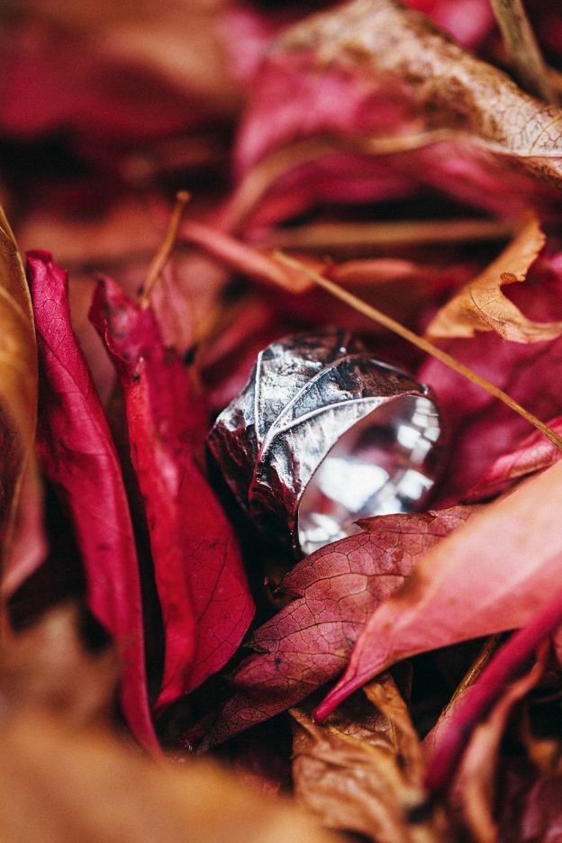 BURNESIDEHALL_AUTUMNSHOOT_LOWRES_PREVIEW-70.jpg