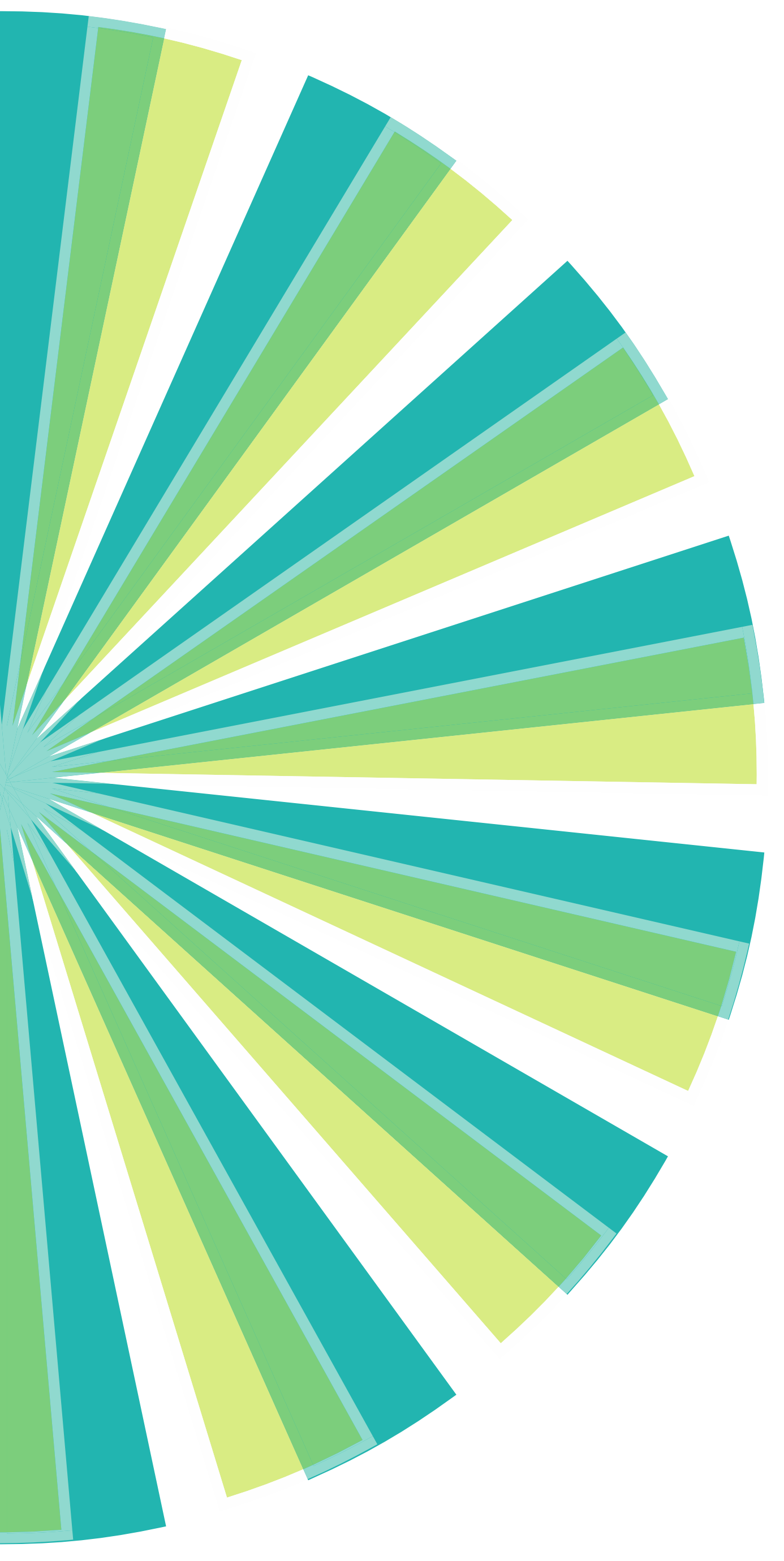 Flower Half@3x.png
