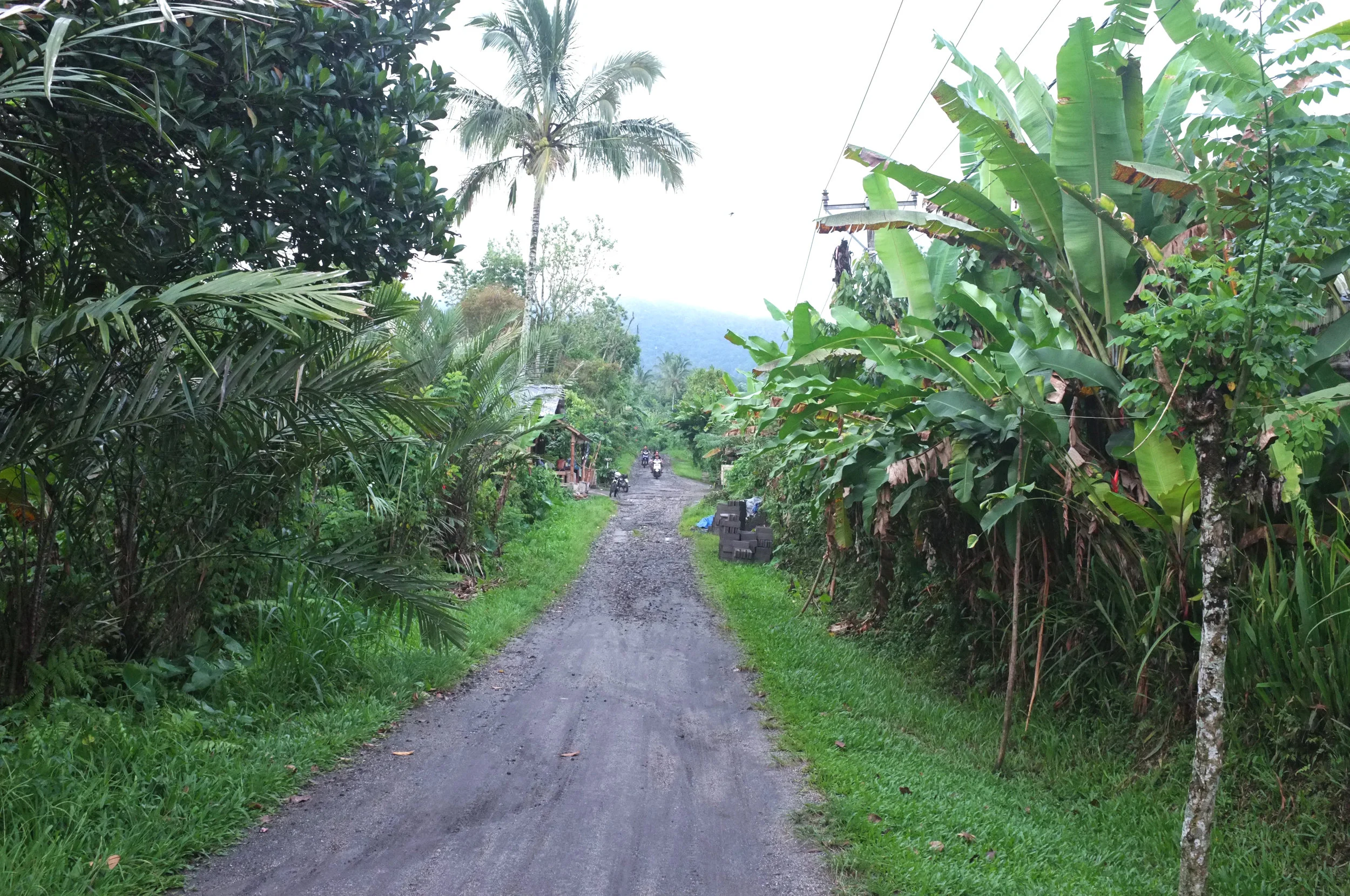 bali 2.jpg
