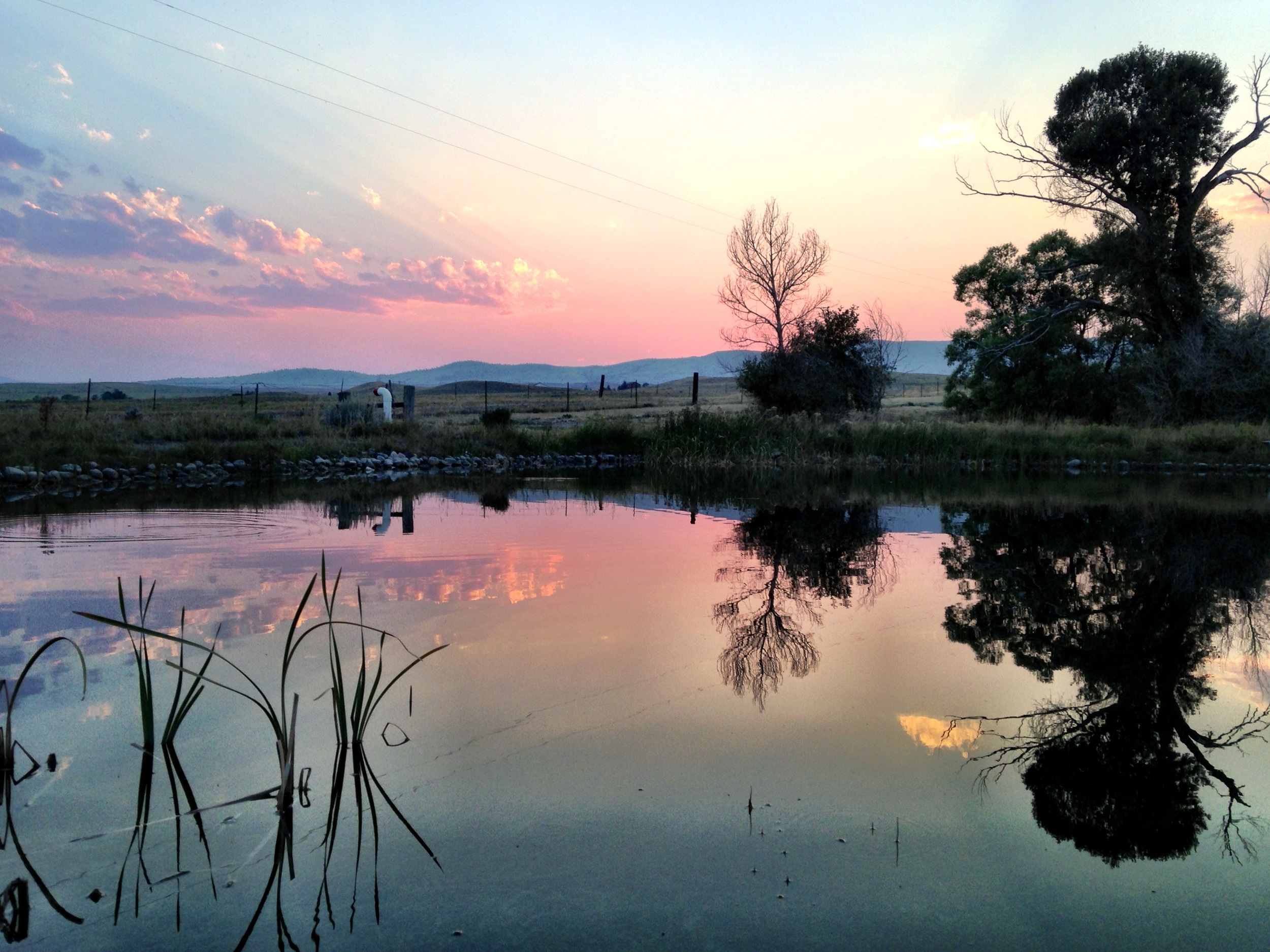 Sunset Pond.JPG
