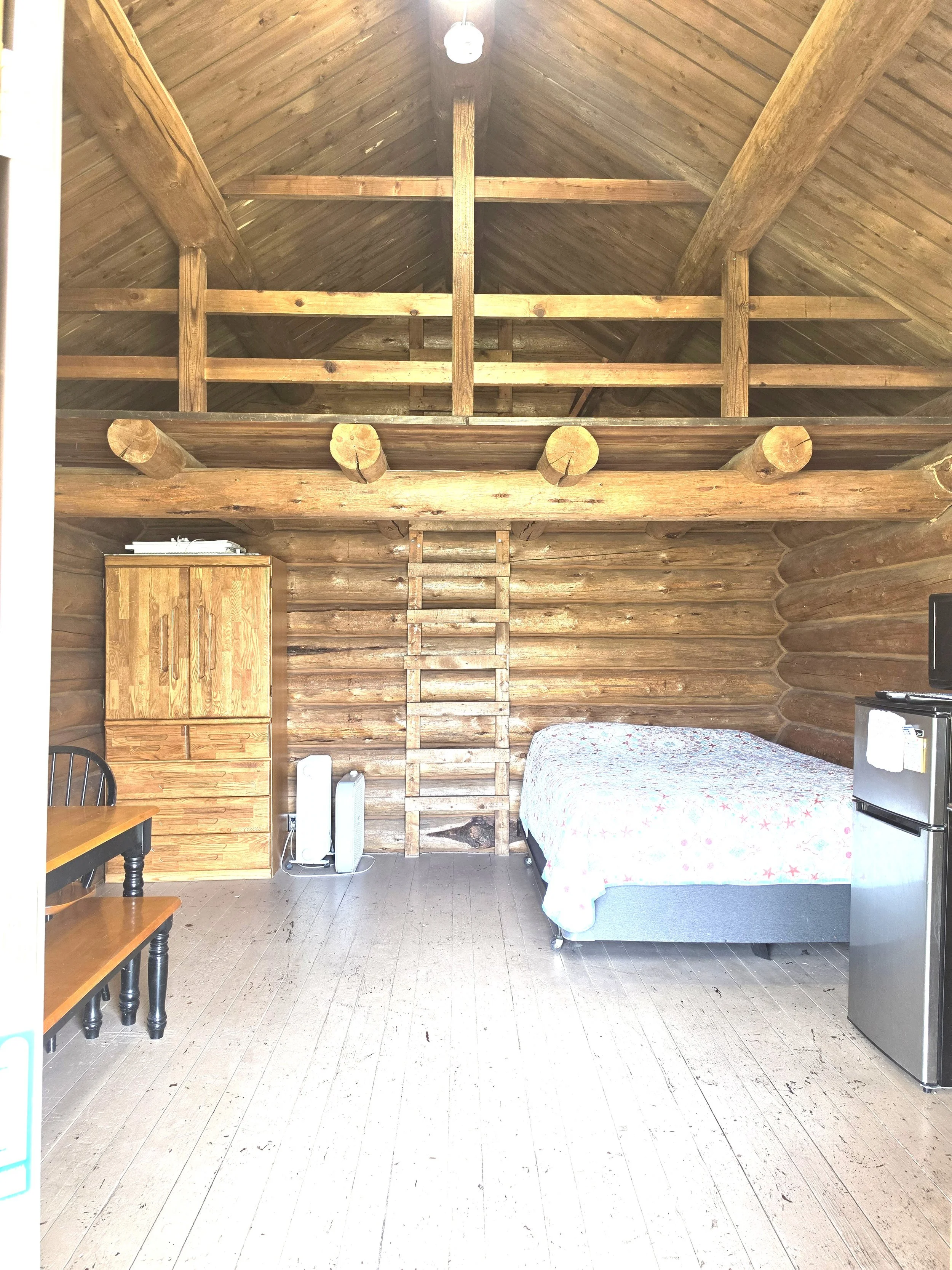 cabin 2.jpg