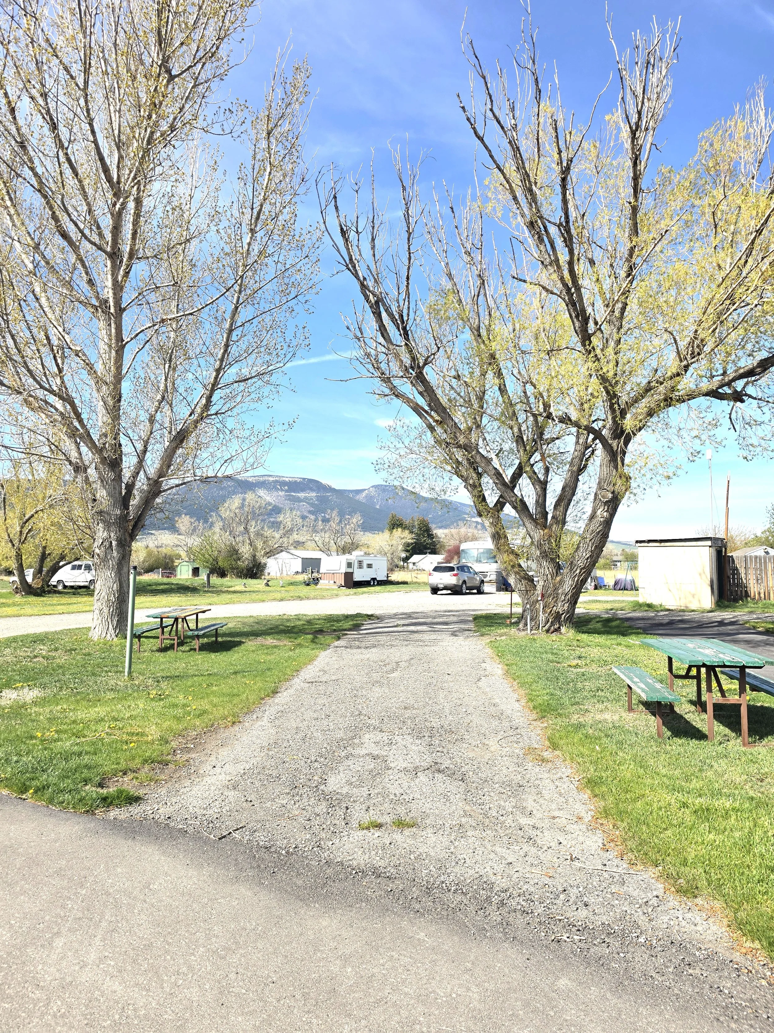 site 9.jpg