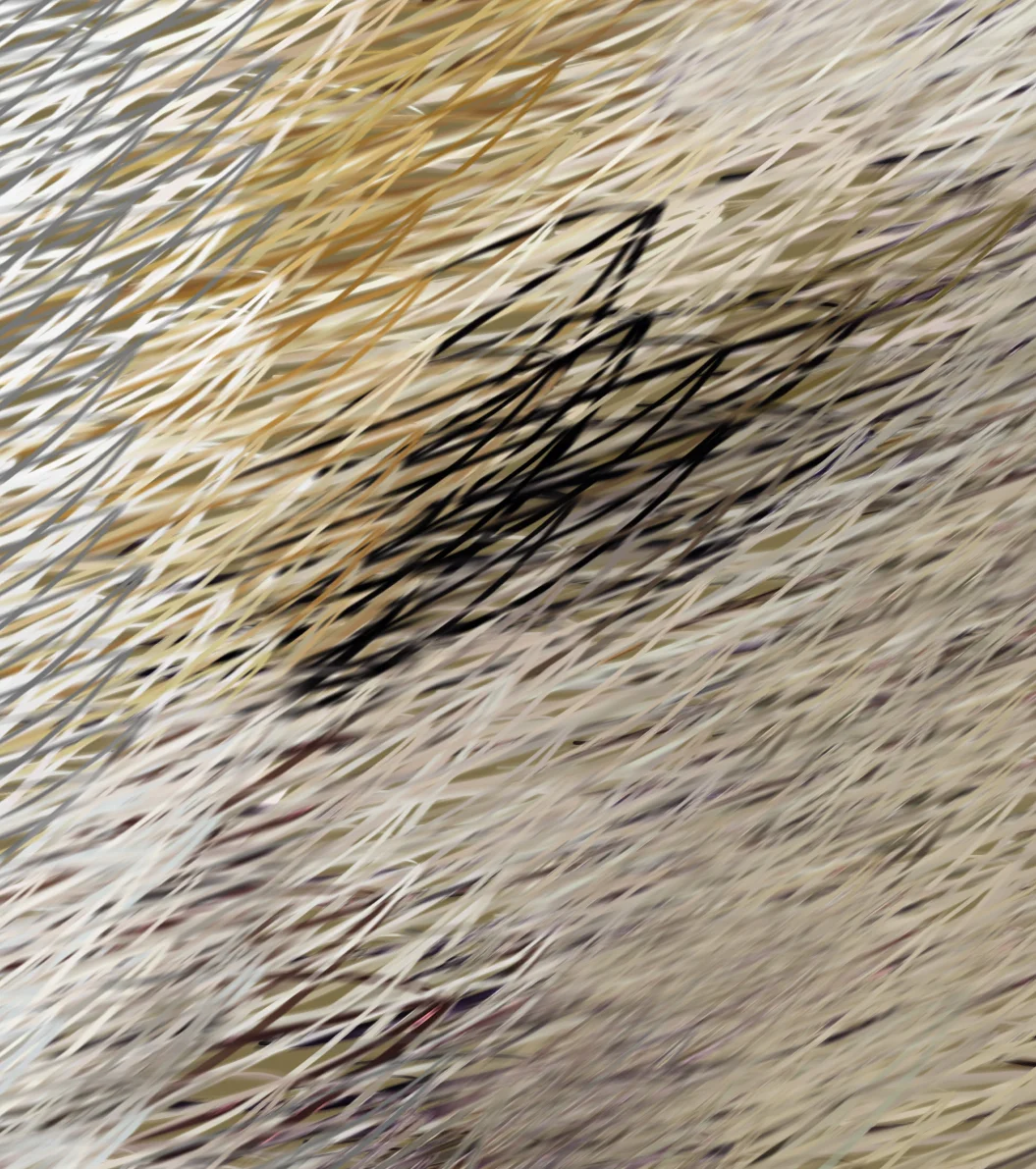 whitedetail.jpg